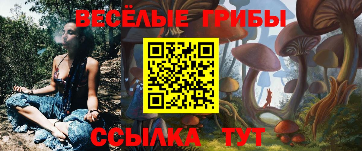 Чайковский  Псилоцибиновые грибы Cubensis  Вход с VPN 